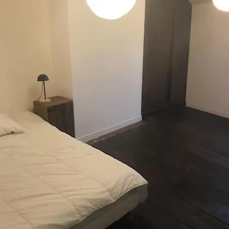 Joli Au Coeur Du Village Apartmán Castillon-en-Couserans